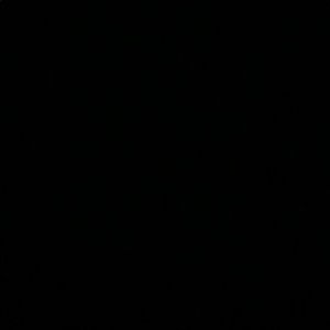 Meet your Posher, Ginny